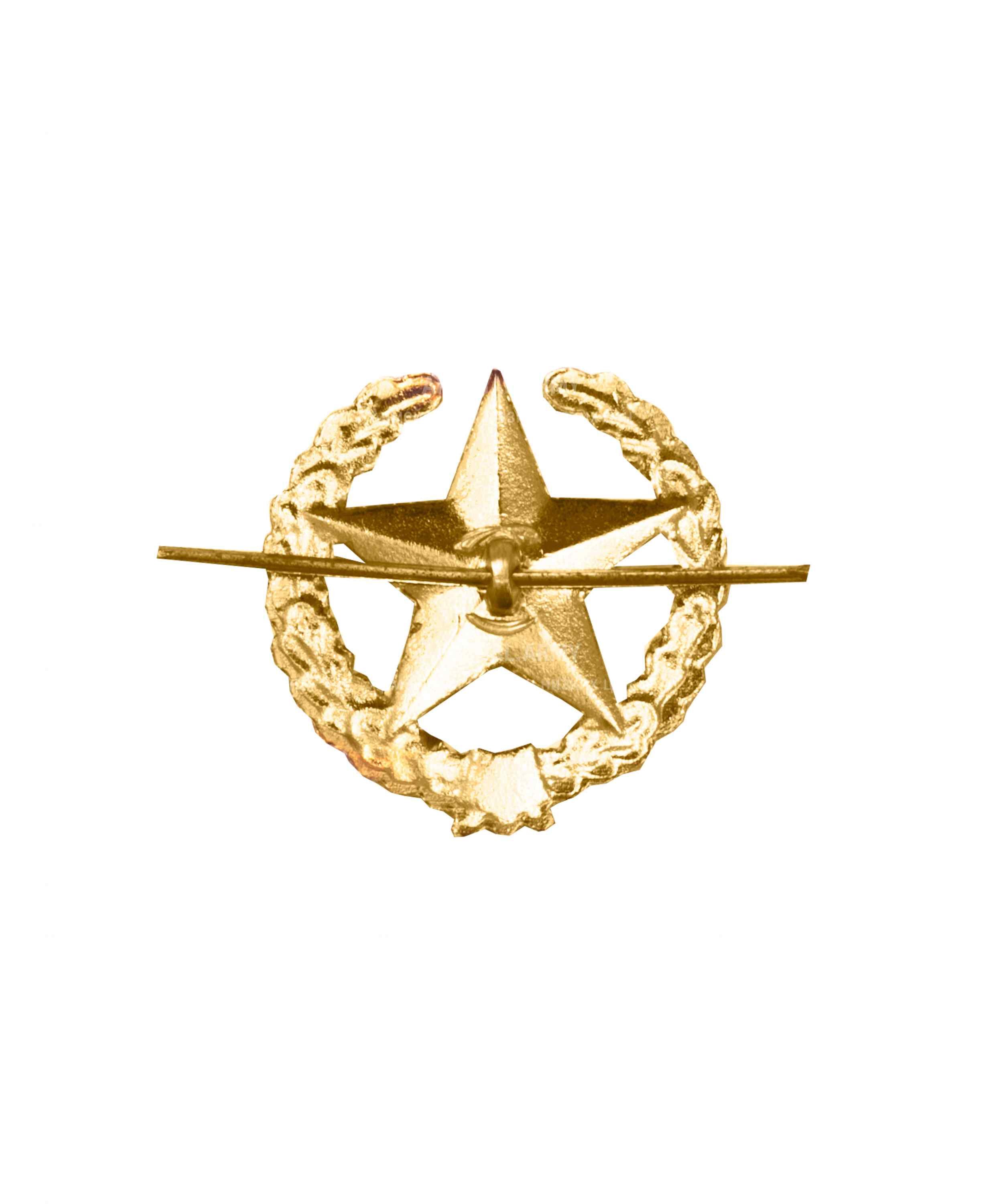 Эмблема ОВ звезда желтая металлическая — 2