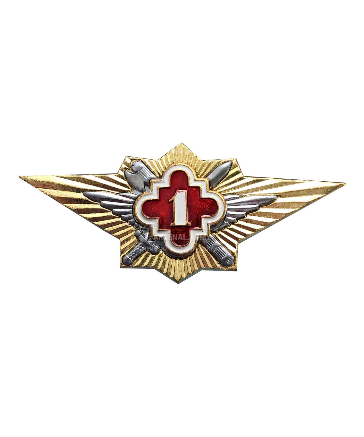 Значки классности ФСИН