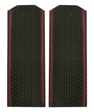 Превью Погоны ВВ прапорщик &mdash; 1