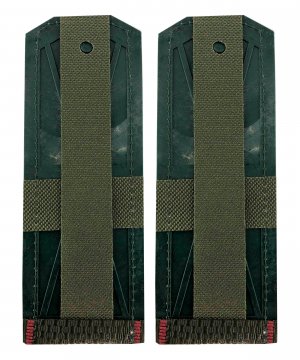 Превью Погоны ВВ прапорщик &mdash; 2