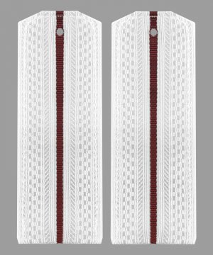 Превью Погоны ВВ один просвет белые &mdash; 1