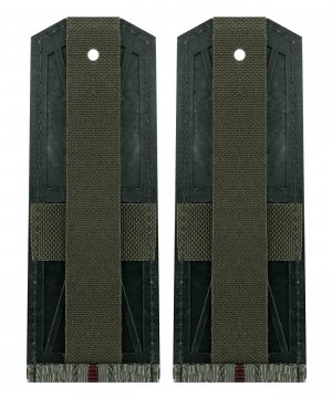 Превью Погоны на рубашку ВВ один просвет &mdash; 2