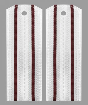 Превью Погоны ВВ два просвета белые &mdash; 1