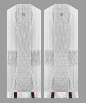 Превью Погоны ВВ два просвета белые &mdash; 2