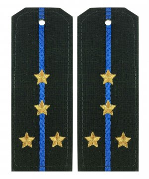 Превью Погоны китель ВДВ капитан &mdash; 1