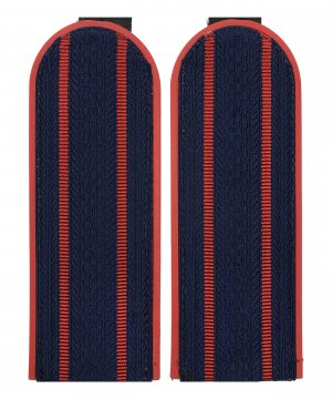 Превью Погоны полиции китель два просвета &mdash; 1