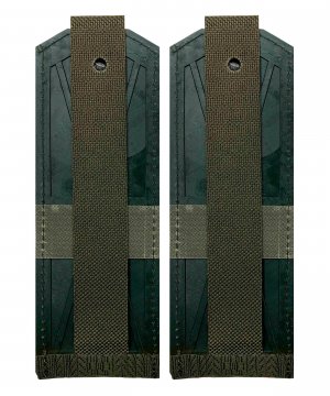 Превью Погоны китель ВС два просвета &mdash; 1