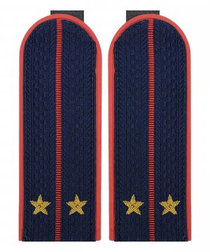 Превью Погоны полиции китель лейтенант золото &mdash; 1