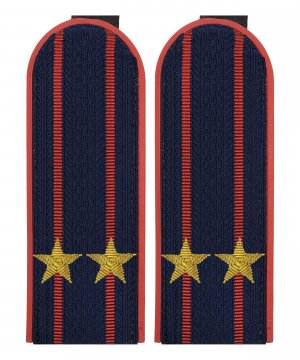Превью Погоны полиции китель подполковник золото &mdash; 1