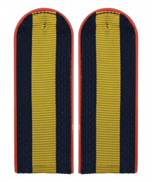 Погоны полиции китель старшина &mdash; 1