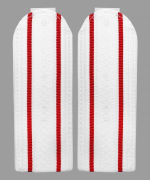 Погоны полиции белые два просвета &mdash; 1