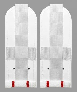 Погоны полиции белые два просвета &mdash; 2