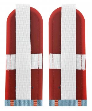 Превью Погоны на рубашку МЧС два просвета &mdash; 2