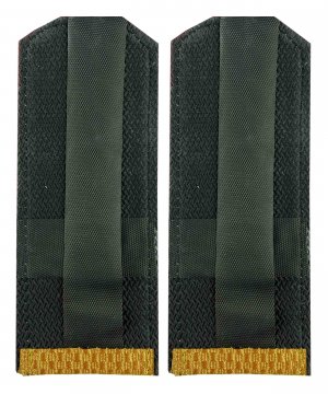 Превью Погоны парадные ВВ рядовой &mdash; 2