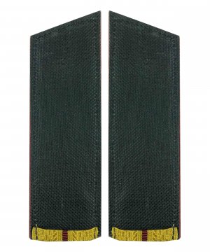 Превью Погоны парадные ВВ один просвет длинные &mdash; 2