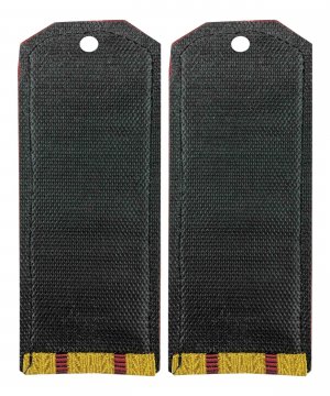 Превью Погоны парадные ВВ два просвета &mdash; 2
