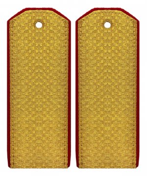 Превью Погоны парадные ВС рядовой &mdash; 1