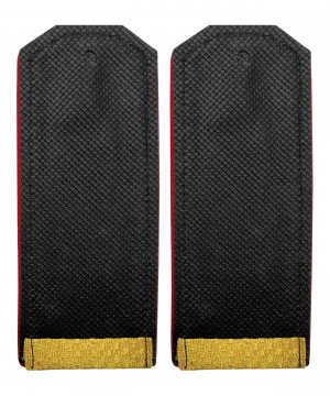 Превью Погоны парадные ВС рядовой &mdash; 2