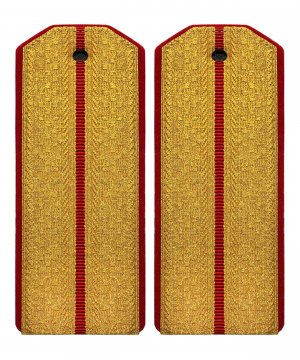 Превью Погоны парадные ВС один просвет &mdash; 1