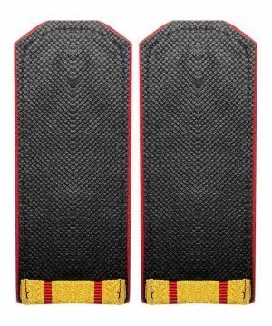 Погоны парадные ВС два просвета &mdash; 2