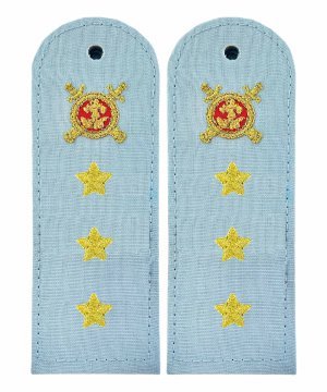 Погоны полиции на рубашку старший прапорщик &mdash; 1