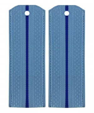 Превью Погоны на рубашку ФСБ один просвет &mdash; 1