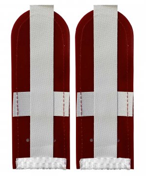 Погоны ФСИН белые рядовой &mdash; 2