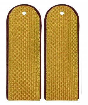 Погоны парадные ФСИН рядовой &mdash; 1