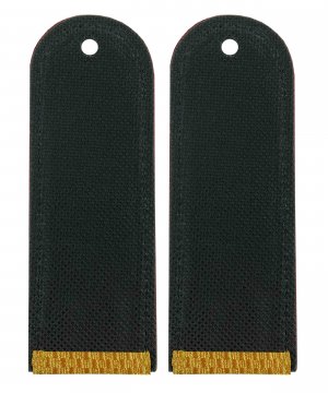 Погоны парадные ФСИН рядовой &mdash; 2