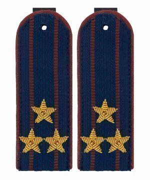 Превью Погоны ФСИН полковник &mdash; 1