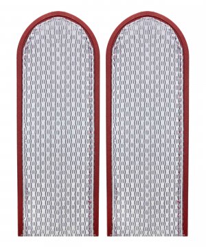 Погоны на рубашку ФСИН рядовой &mdash; 1