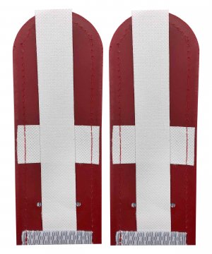 Погоны на рубашку ФСИН рядовой &mdash; 2