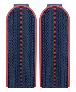 Погоны китель ФСИН один просвет &mdash; 1