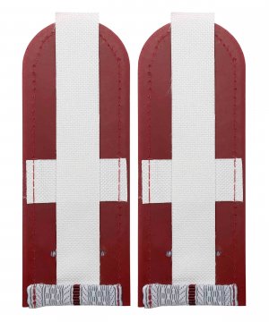 Превью Погоны на рубашку ФСИН один просвет &mdash; 2