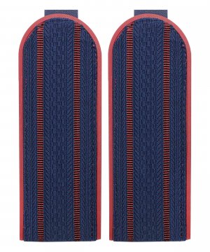 Превью Погоны китель ФСИН два просвета &mdash; 1