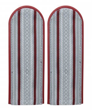 Погоны на рубашку ФСИН два просвета &mdash; 1