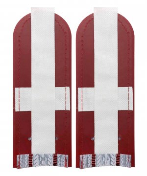 Погоны на рубашку ФСИН два просвета &mdash; 2