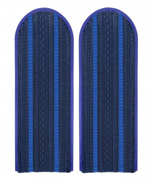 Превью Погоны юстиции два просвета на китель &mdash; 1