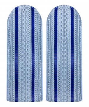 Превью Погоны юстиции два просвета голубые &mdash; 1