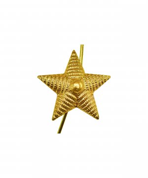 Звезда на погоны рифленая желтая 20 мм &mdash; 1