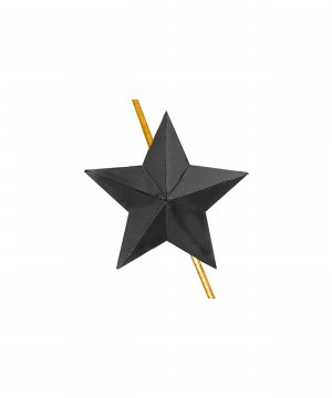 Превью Звезда на погоны ФСИН черная 18 мм &mdash; 1