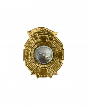 Превью Значок металлический Гвардия Россия алюминий &mdash; 2