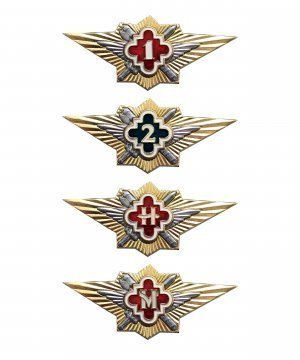 Значки классности ФСИН &mdash; 1