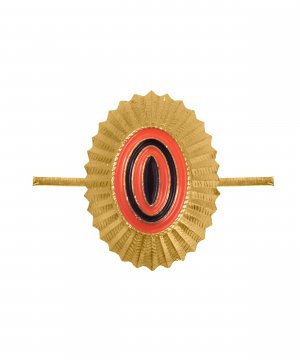 Кокарда орех МО нового образца металлическая желтая &mdash; 1