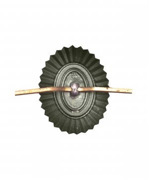 Кокарда орех ПВ офицерская зеленая &mdash; 2