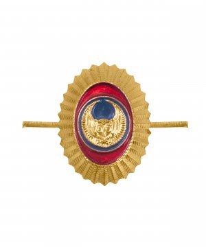 Кокарда орех сова ВОХР &mdash; 1