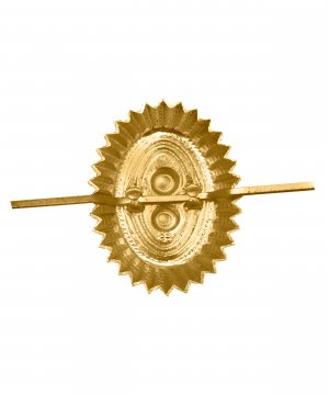 Кокарда орех сова ВОХР &mdash; 2