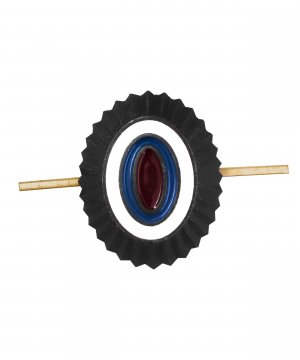 Кокарда орех ФСИН неуставная &mdash; 1