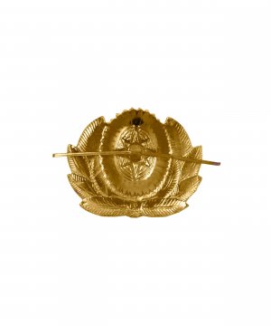 Кокарда МЧС с ветвями старого образца &mdash; 2