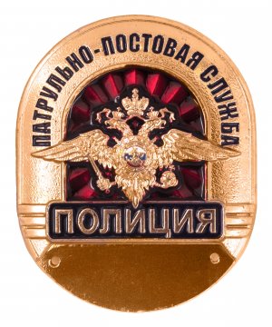 Превью Нагрудный знак полиция ППС &mdash; 1
